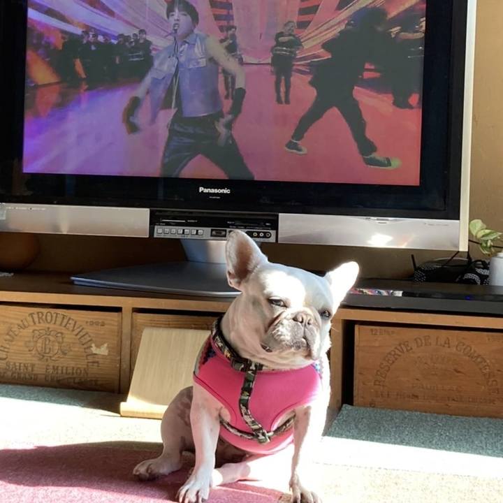 50970f9c 4337 4921 a0f4 6fae29d076dd 1635932131174