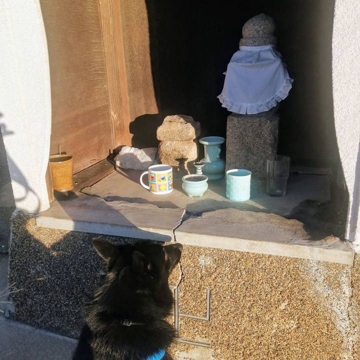 50971522 f742 4cbb 8851 ccaa5540cef5 1635459058284