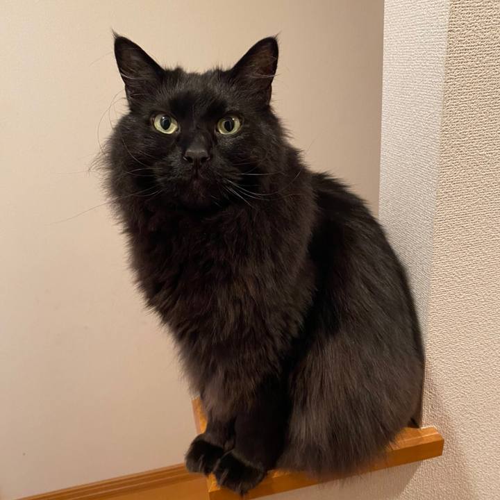 50976cb8 cb49 4038 bbc1 48690f8a45ac 1587310442113