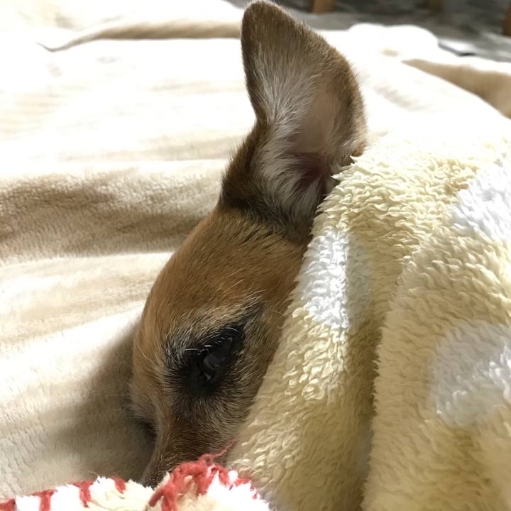 50979437 37ed 4b9c 8dd0 13693fe539c6 1577098550302