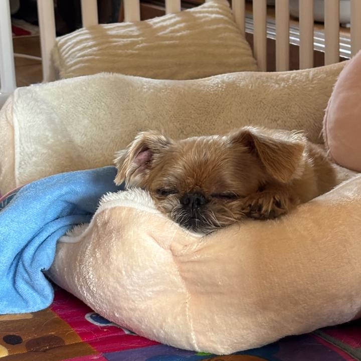 5097f309 bd33 4aab be08 c2295c055b11 1756215183407