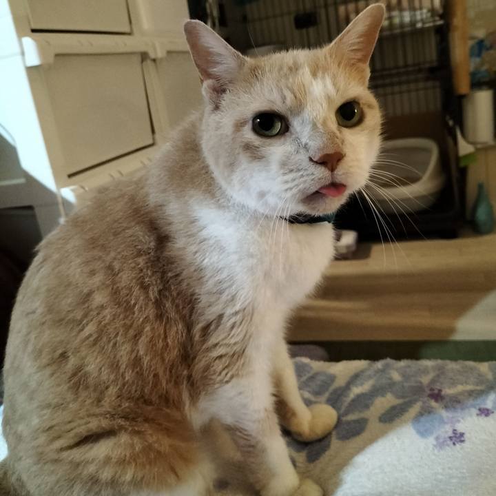 5097f661 2eb2 49b5 bf2e beeb11639eca 1660649114359