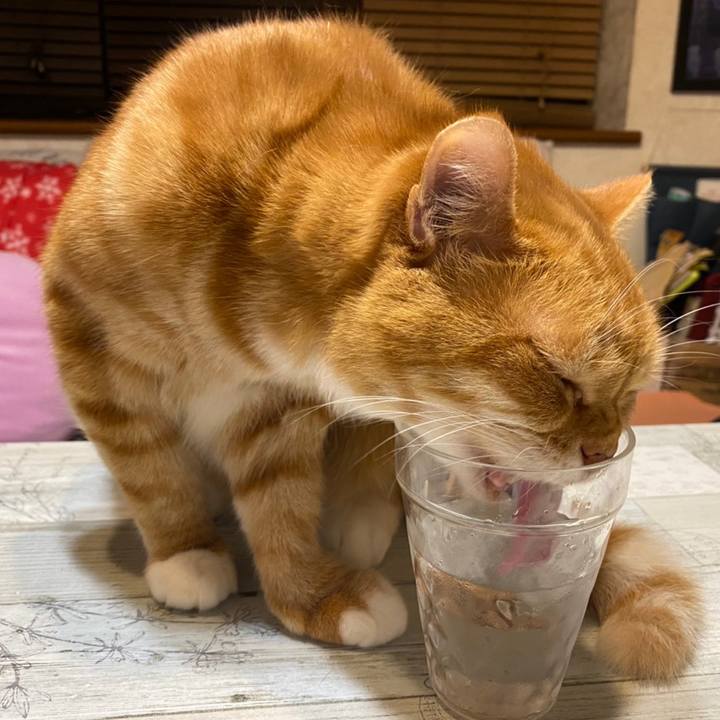 50981292 5978 4557 9b5a 1823fb0ede1e 1605448682104