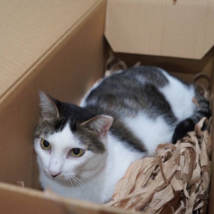 50981404 7db7 4024 911d 3d272480dfa5 1600529628034