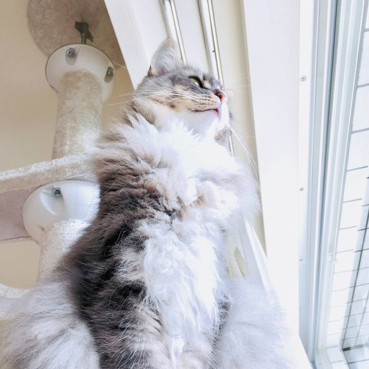 50982ab3 6f1f 4122 bb25 c7eeb553d425 1518918263161