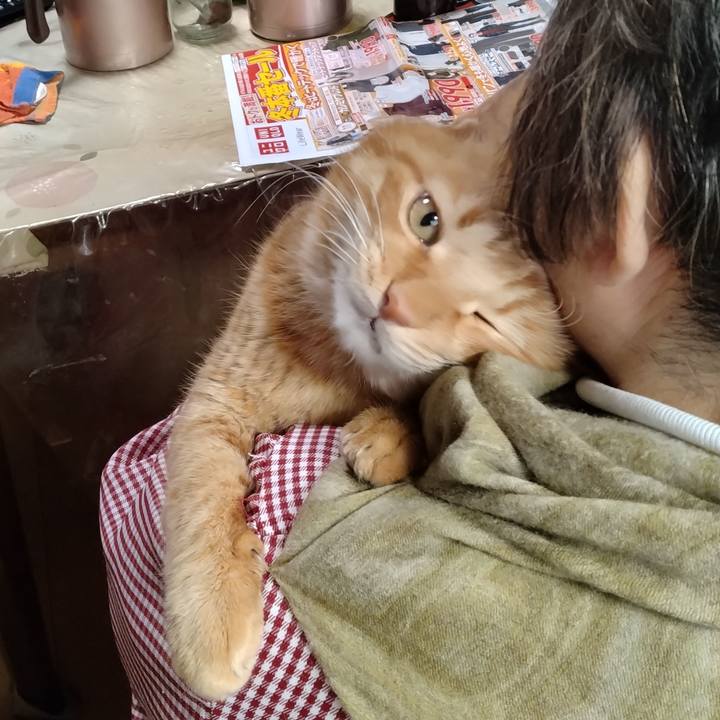 50984839 5de4 4756 9c4c 4eed54ed8707 1766384576796