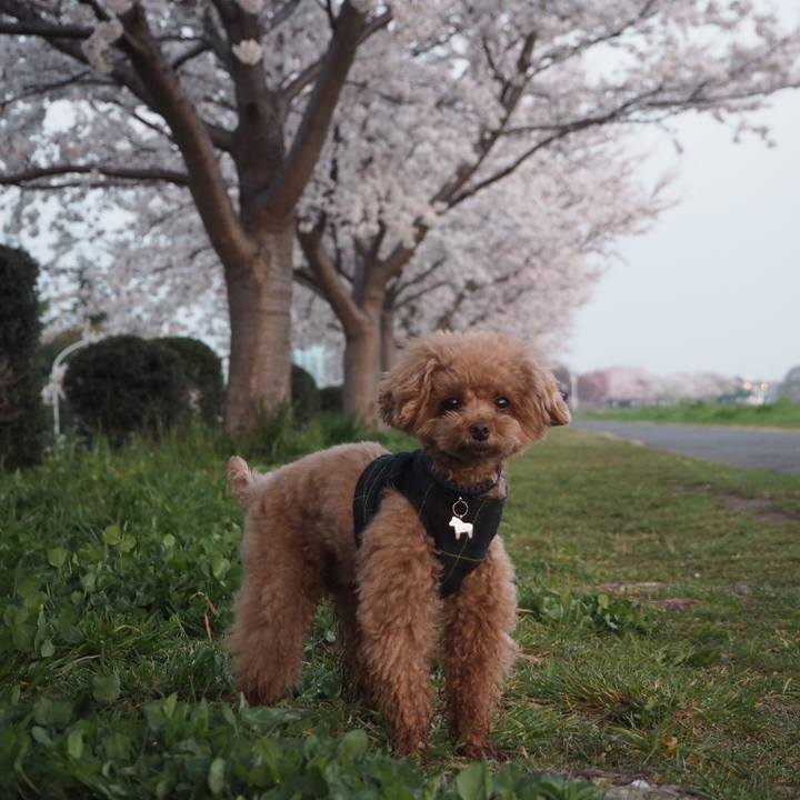 50987c53 390c 4096 b151 907da11e435d 1522102920557