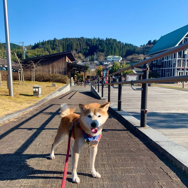 50987f38 21f9 4b6b bd9e 5a52631a1e1d 1639046697786