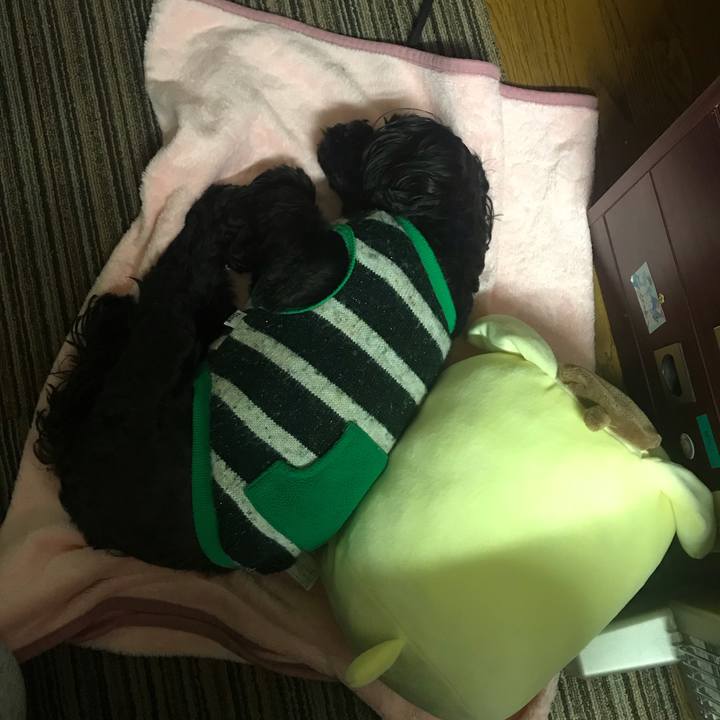 50989273 98c9 4dfd 9400 0075231725a2 1553256662893