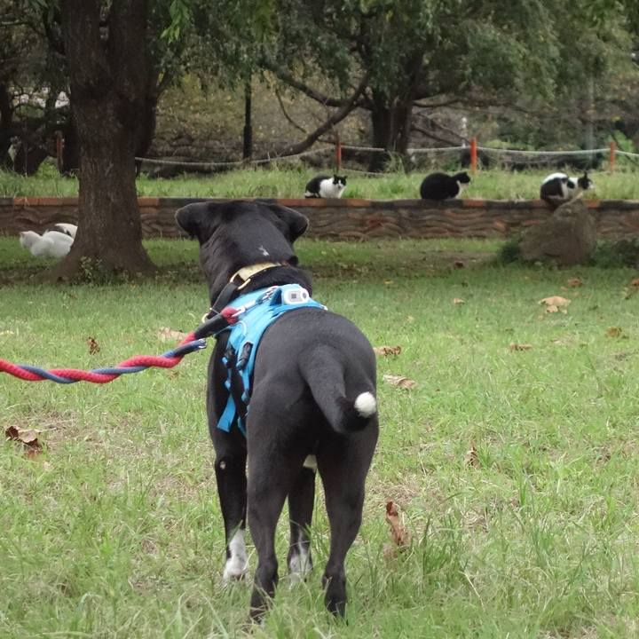 5098b297 1c67 4a67 89c7 075d99cee17f 1631836704963