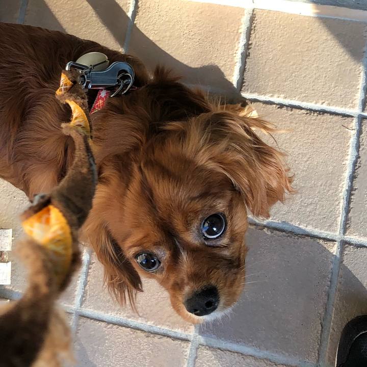 50990db5 8cb4 4264 8f9f bc7a0eabfab9 1524955636385