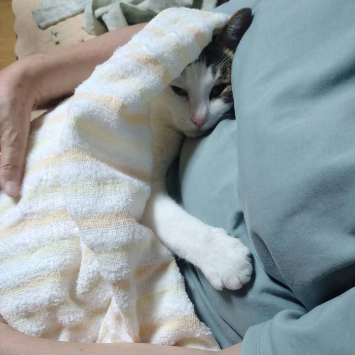 50993e01 dd4e 4db6 a264 f47e6aa785f9 1758189399944