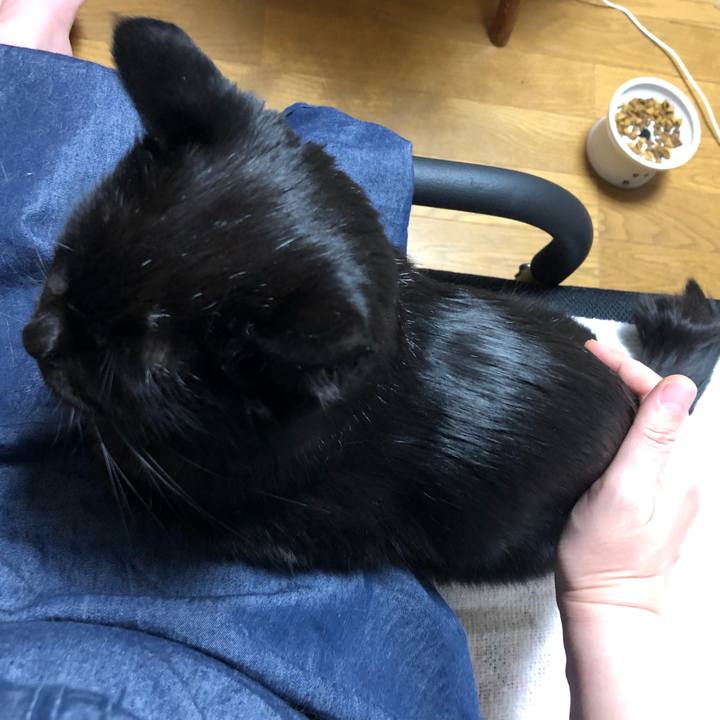 50997a38 ce3c 423a 883e d7d6afc9b341 1618655873809