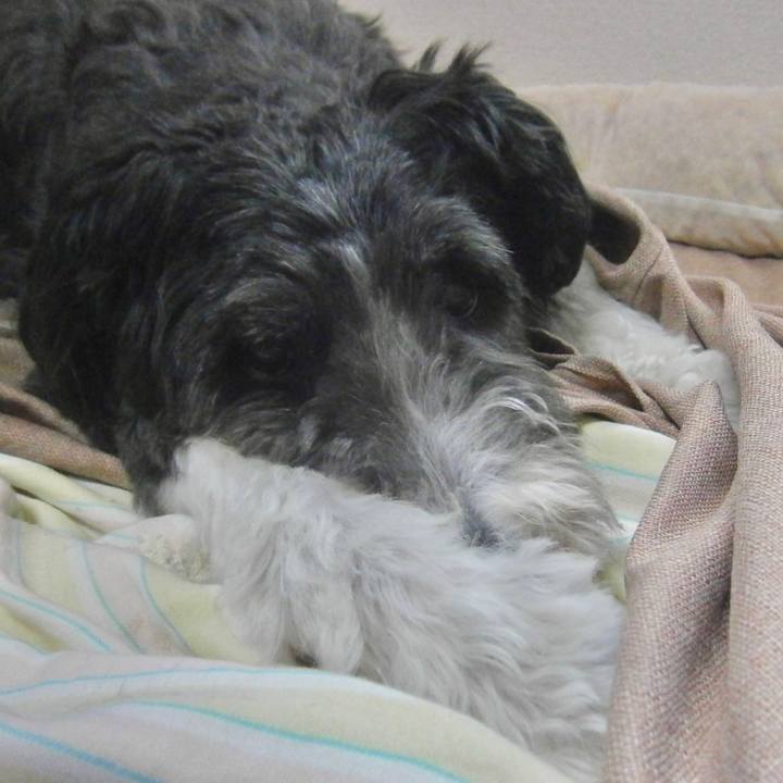 5099b4a3 536d 4429 b3ea 9aca2419d154 1635245444589