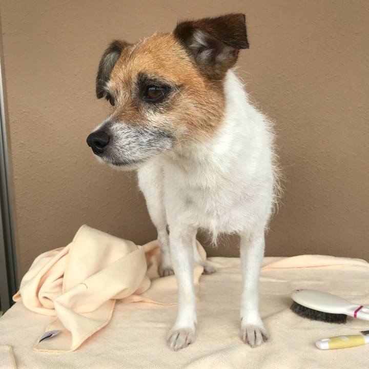 5099f3a0 16e0 4e26 b24b 1236029d2756 1527558108402