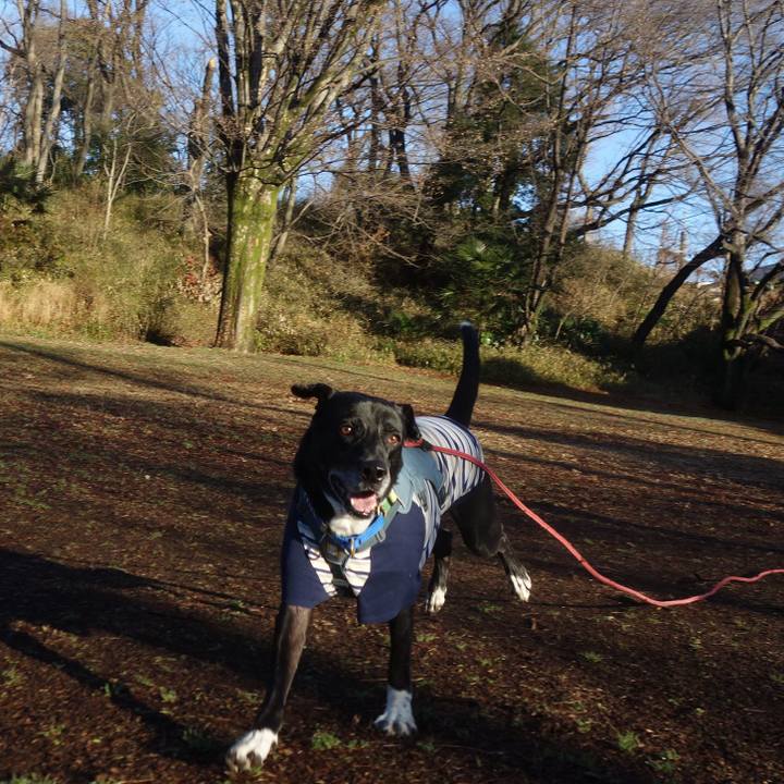 509a01c1 34b6 4846 b92d 9caaf72ad1f0 1705884550679