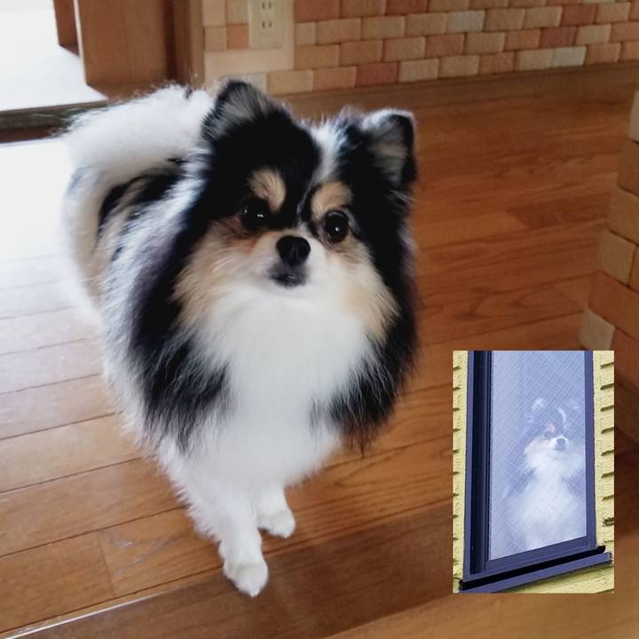 509a02e5 12c7 4f43 9b50 4732beb2ec72 1539299733615