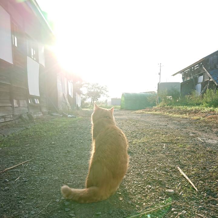 509a1ab3 2387 4451 bf9f da7b09855409 1659131794450