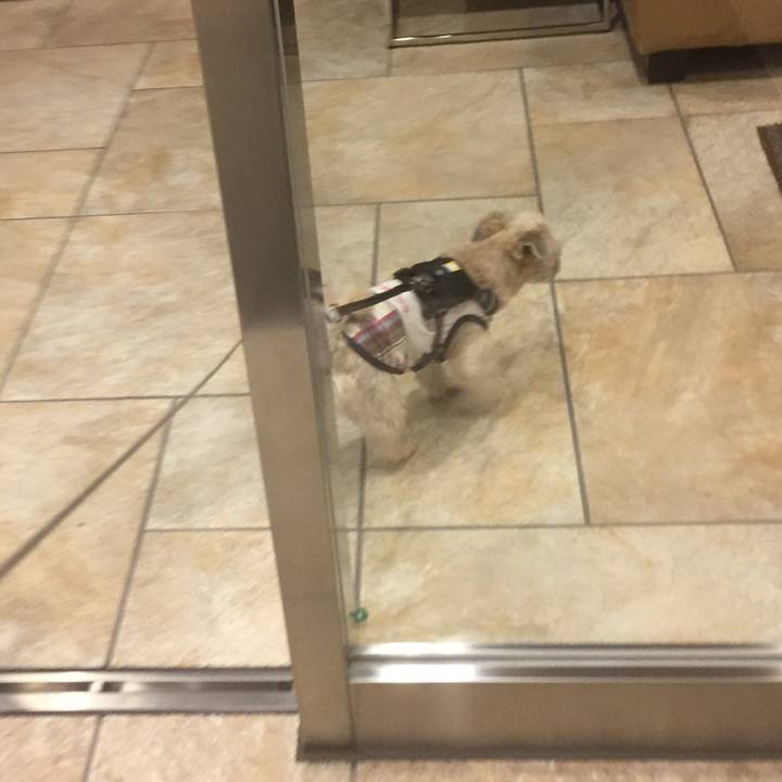 509a2fcd 65a3 4bd8 a11a 69ef95ebb189 1560166439976