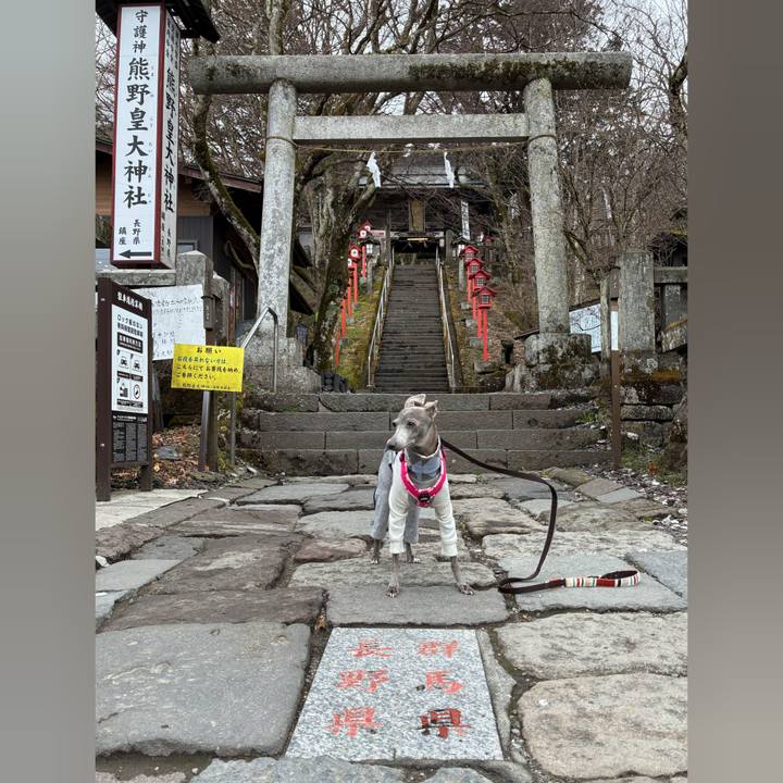 509a32ae e4a2 45bb 917f 8b0c3b65726a 1776675684267