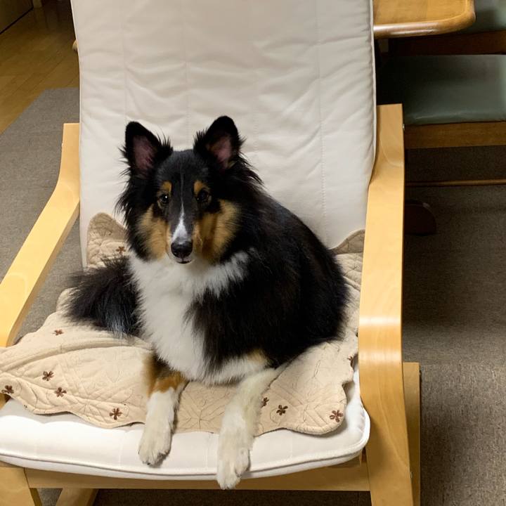 509a506f 2296 4237 a1f0 0407b168e868 1565907701201