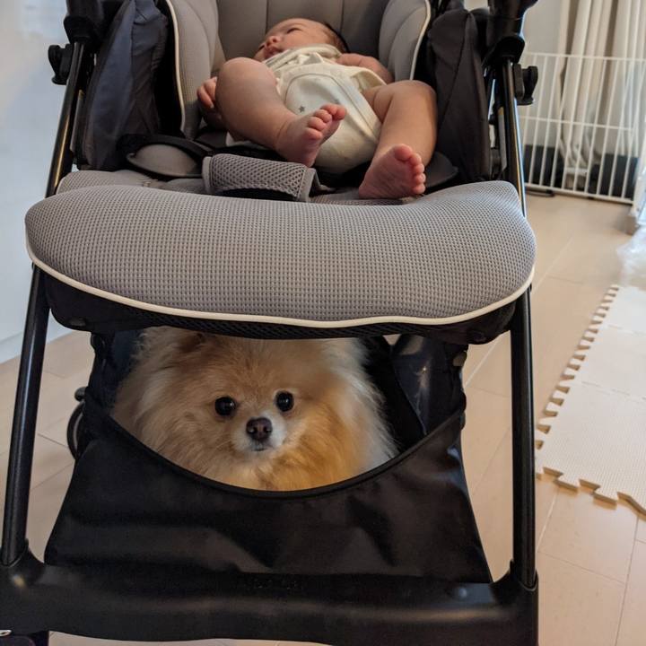 509a58f0 c8b8 4a97 992c b5184aa4c4a5 1619690067094