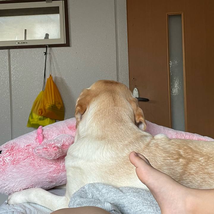 509a79f0 f0f9 4d19 a024 06cebac49b84 1661729681260