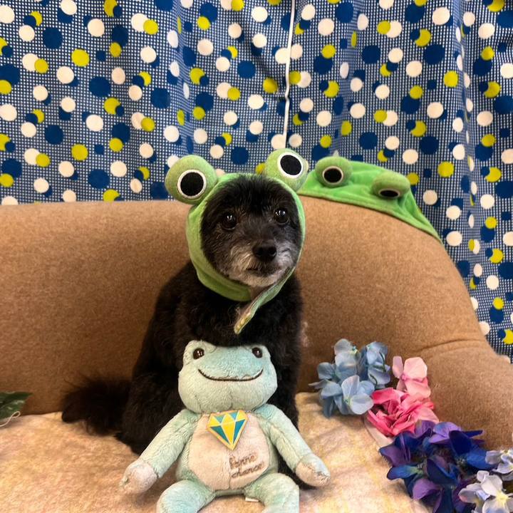 509a964f a562 4bfb 8854 0d89e8b2f422 1686016134996