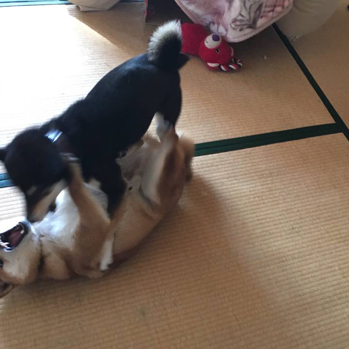 509ad860 9d71 4095 9c1a 6cdd89e8548c 1555625012803