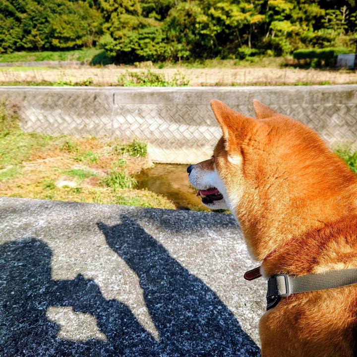 509b095f 7004 4d84 a8cc 5dfd0e76c7db 1763967428334