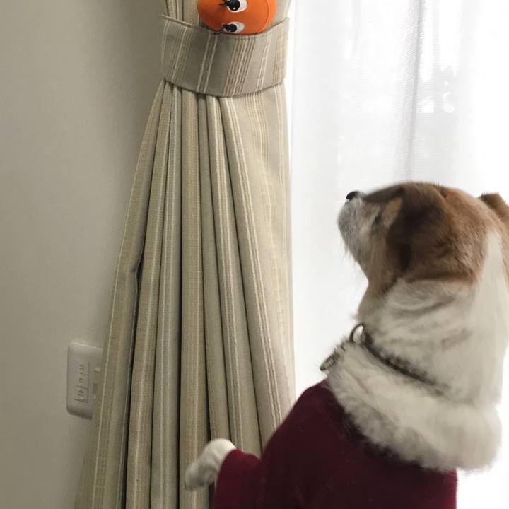 509b2f64 23f4 40fb ae8a 5f37c8a2bb89 1611719267271