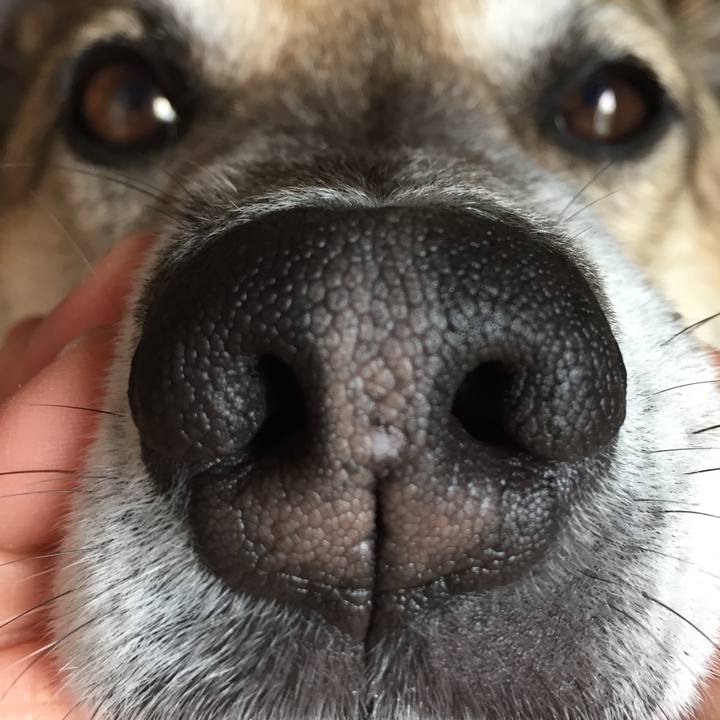 509b353b 121c 4b16 ba4f 089e8e811300 1523495912131