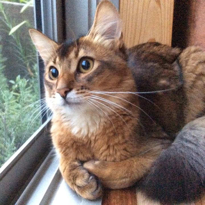 509b4051 fa11 4ea4 b204 56765630902f 1566466522975