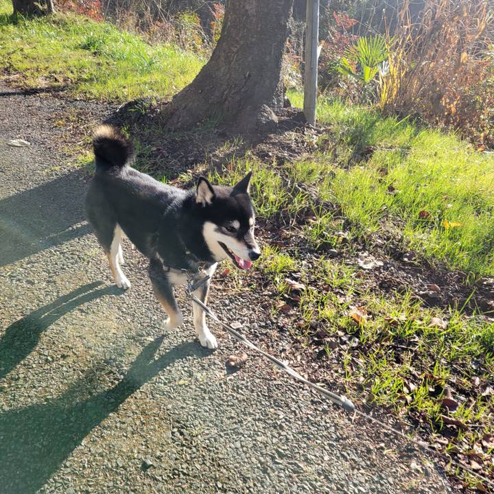 509b658d 725f 4137 a7f7 24a4ec8116a9 1767054064557