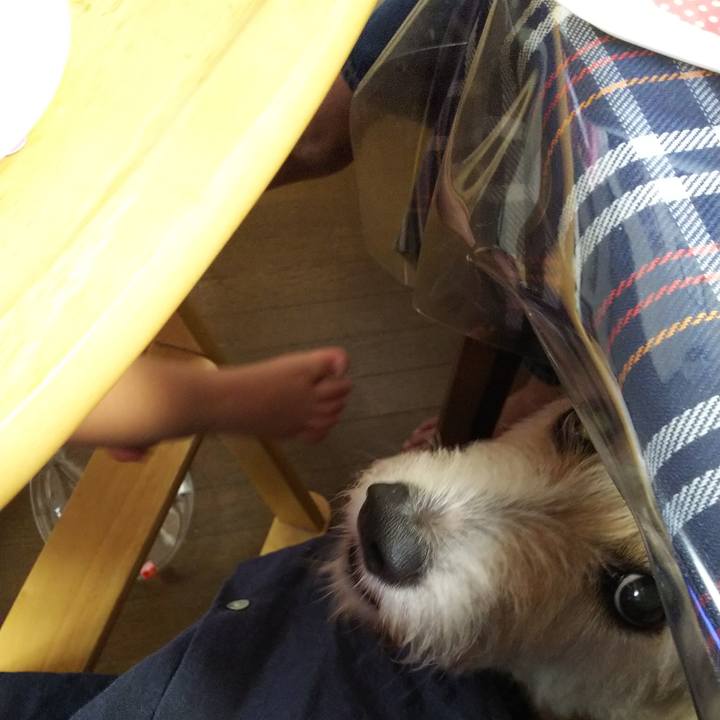 509b7aea 780a 4ab5 a07d 9b3b8b6d272f 1532749907739