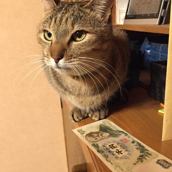 509be28a 1796 43e7 9951 f59c86cc3ec6 1514235540828