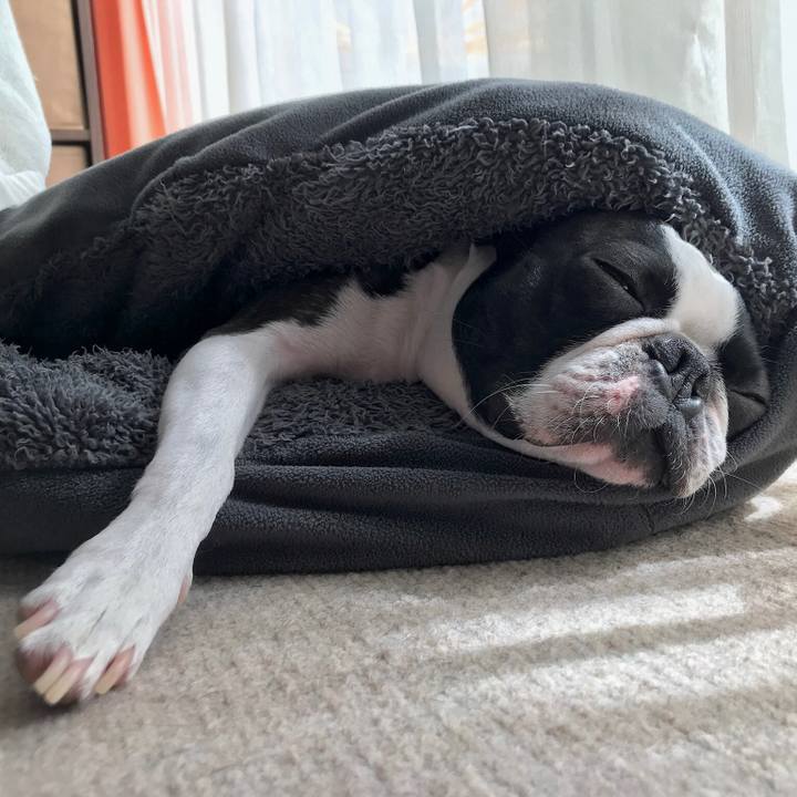 509c01ff 7e87 449a a1ca 619ec8635c75 1633936484281