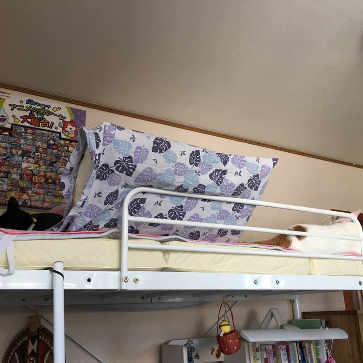 509c24e7 b59d 41eb a305 b6cc0107a081 1534571046825