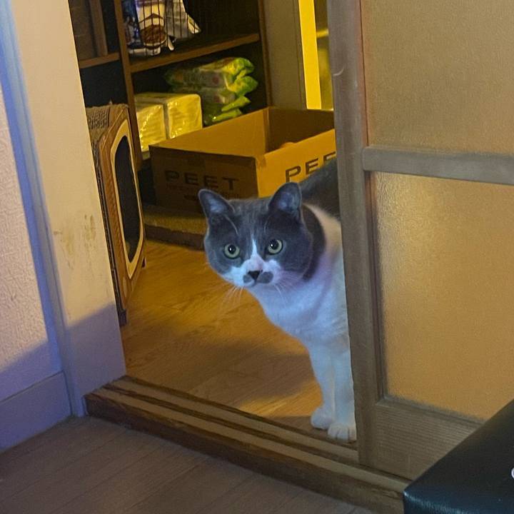 509c332e 56d6 40bf 80b0 bf3cba5ea64e 1681515443300