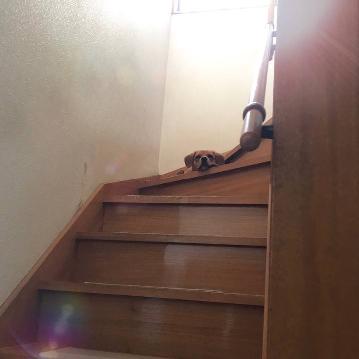 509c34b3 acd3 41d5 aa88 0e9bfd8a6e8b 1533139507510