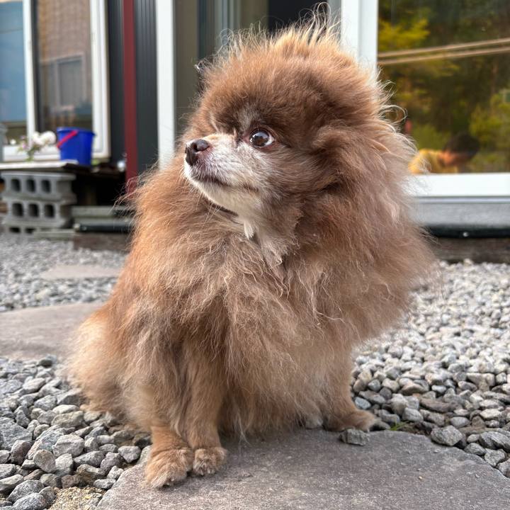 509c3ed3 2cbd 4814 b001 7d44296509d2 1750109939052