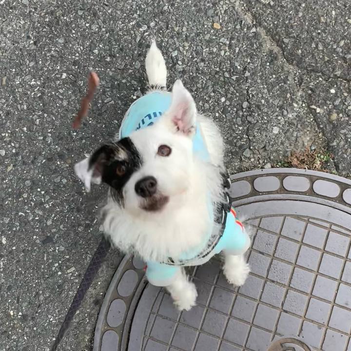 509c4cbc 4f9f 4a08 8360 0bdf0f033ece 1731195997520