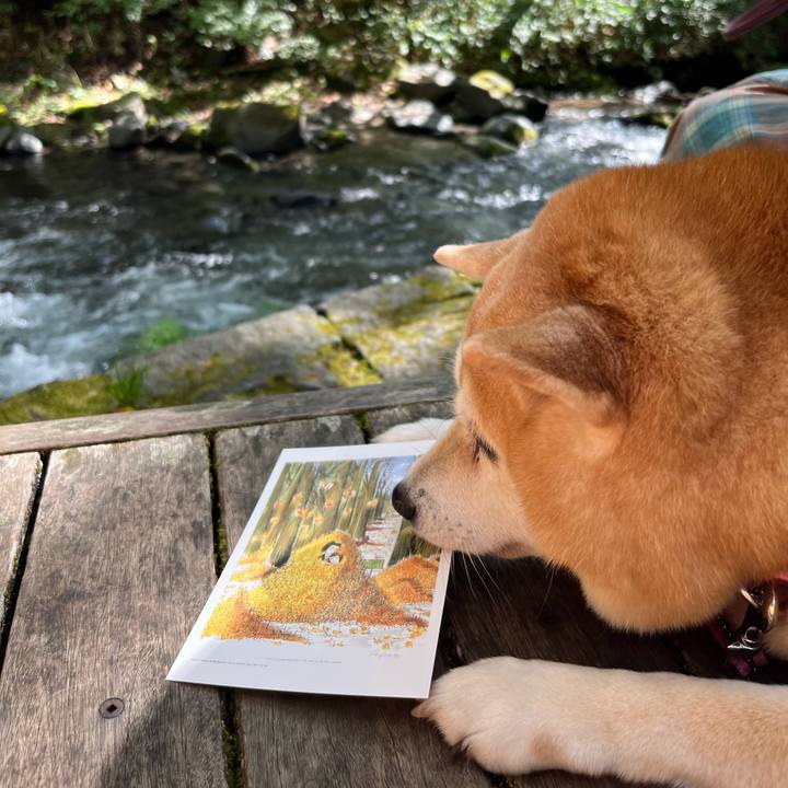 509c7e78 348b 43f0 bf07 e3bdf33d7f2c 1697375049084