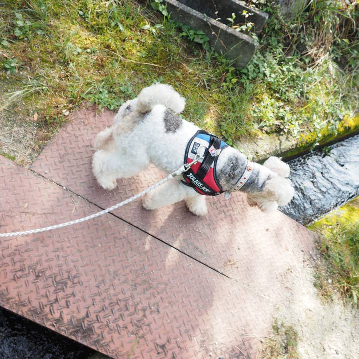 509c8687 9d24 42bc 840c 2aa3043e9991 1569941468000