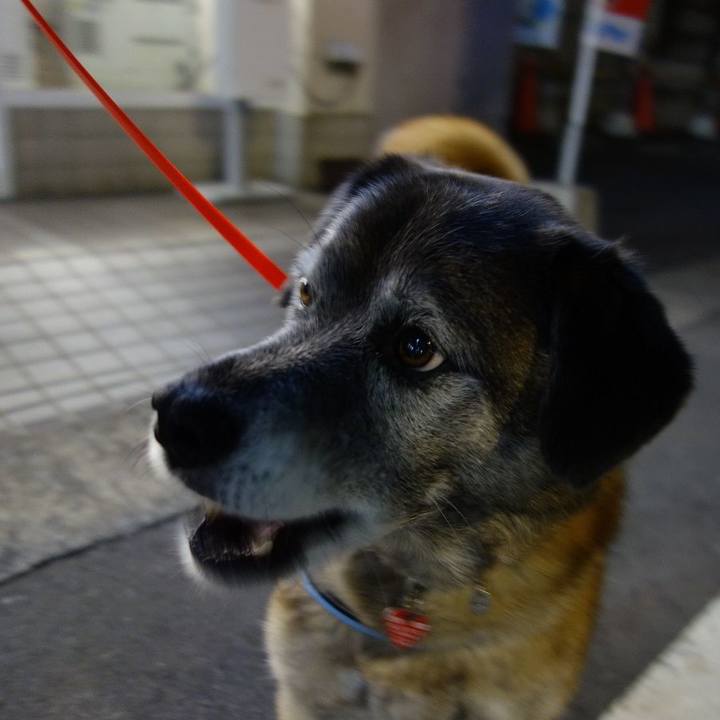 509c8c1d 8669 477d a5f8 97e1c53909ec 1520596785275