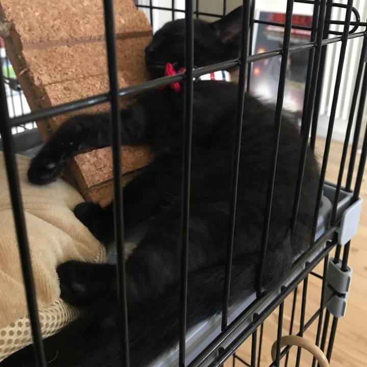 509c989b 0ba0 4f3b af59 379912974ab9 1660623299855