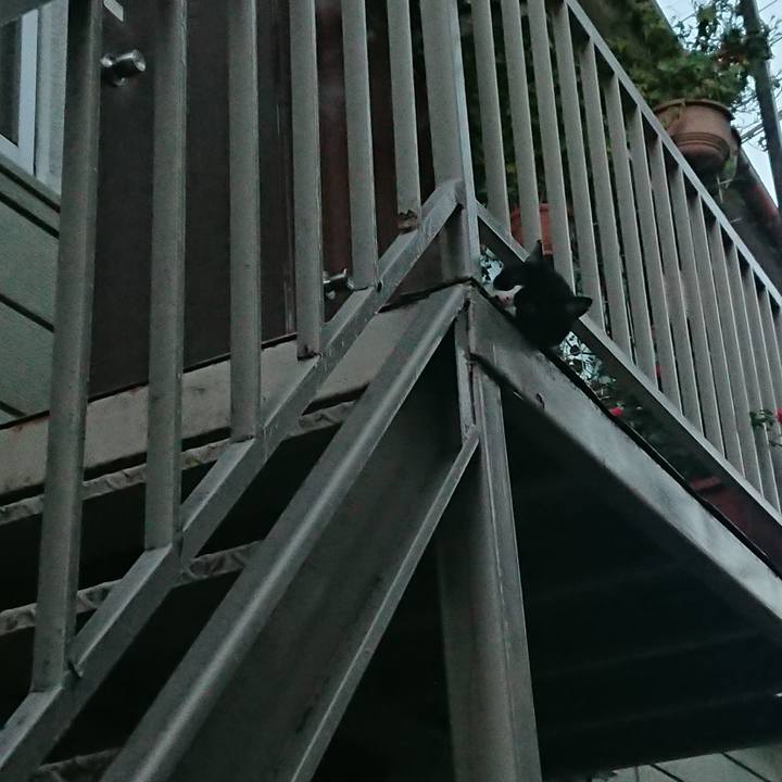 509cacc6 6d90 4e68 aef9 781b0447d207 1534843934448