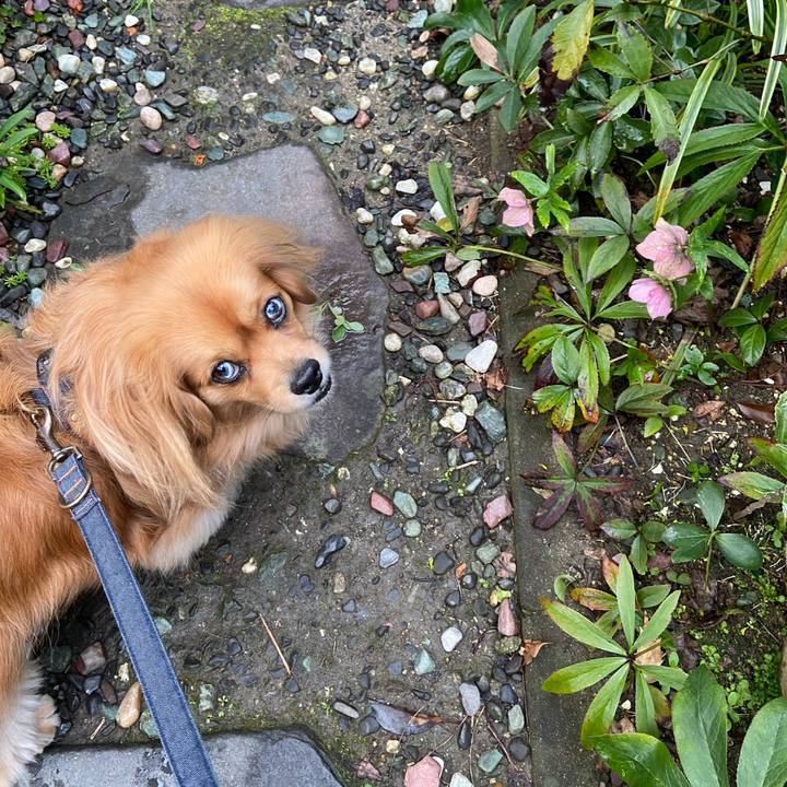 509cc449 8ec9 4797 875a bf1c27786746 1584311224583