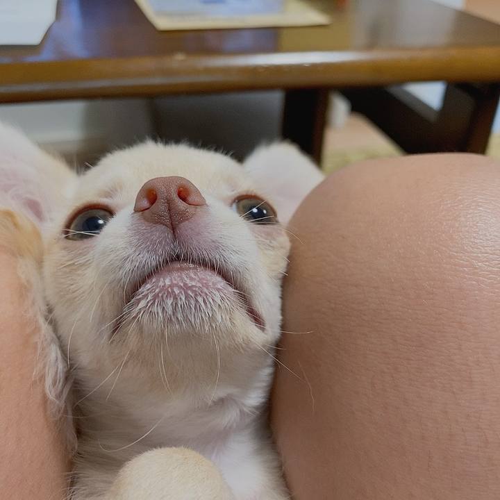 509d2303 00d3 499d af57 b5daf43bc538 1591865668469