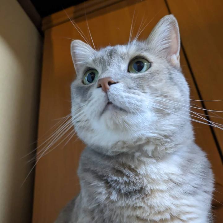 509d2863 b7c0 404f 89bc d13c6b873bca 1689135448178